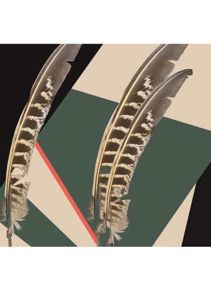 PAPIER PEINT PLUME PAPILI 2